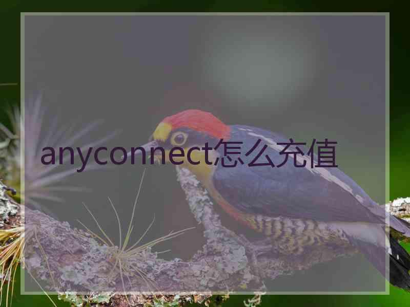 anyconnect怎么充值