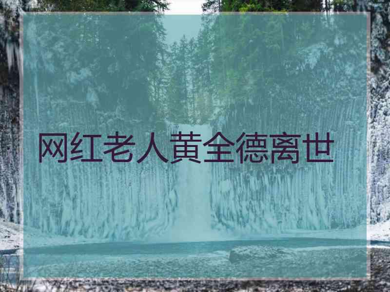 网红老人黄全德离世