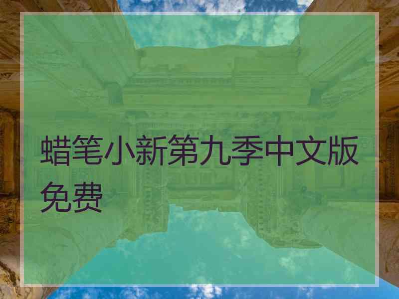 蜡笔小新第九季中文版免费