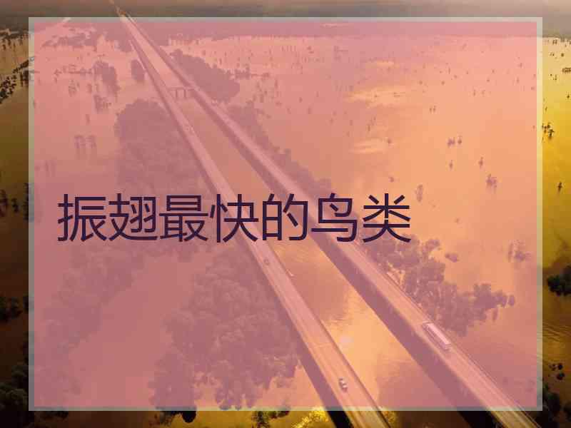 振翅最快的鸟类