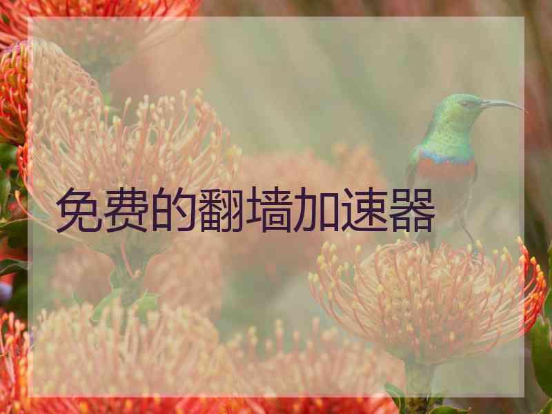 免费的翻墙加速器