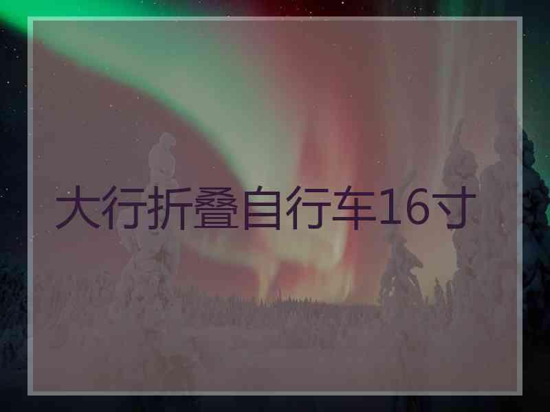 大行折叠自行车16寸