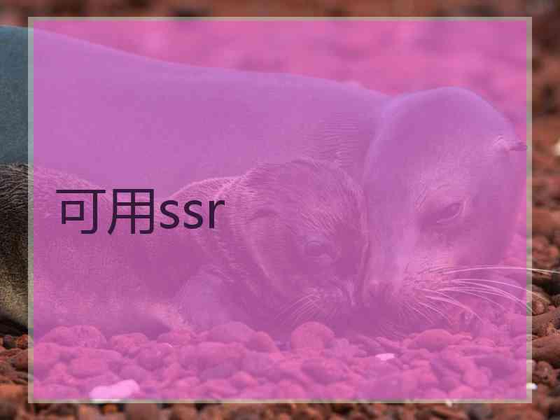 可用ssr