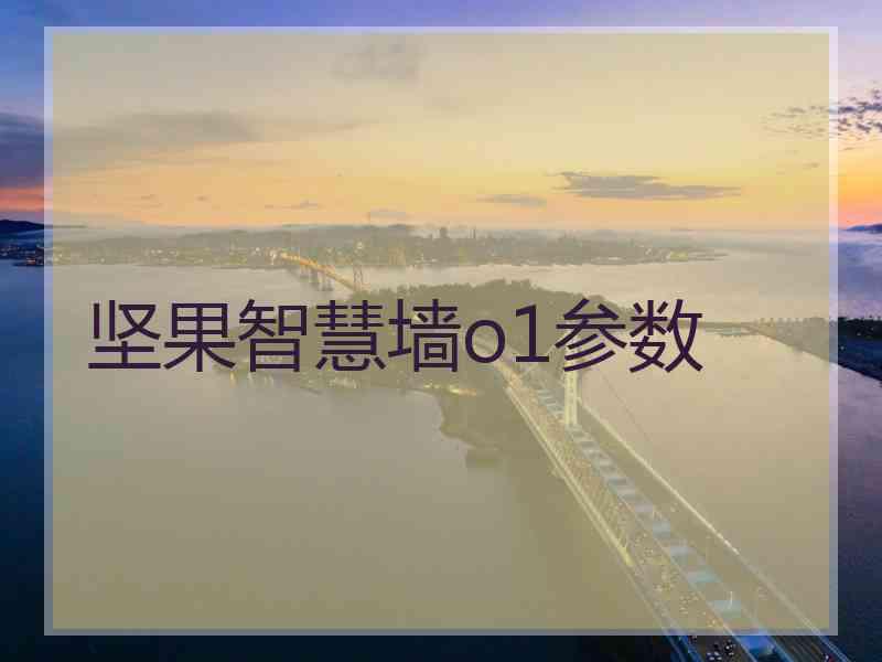 坚果智慧墙o1参数