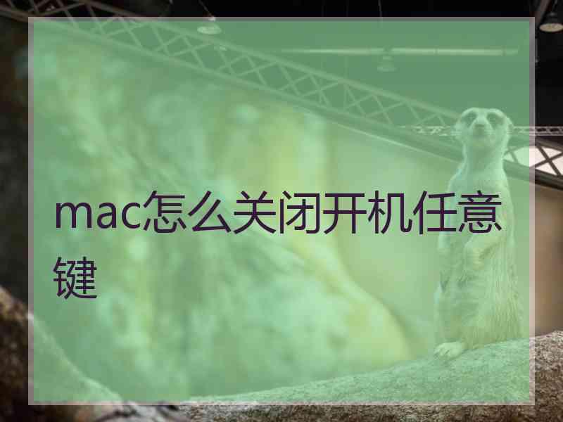 mac怎么关闭开机任意键