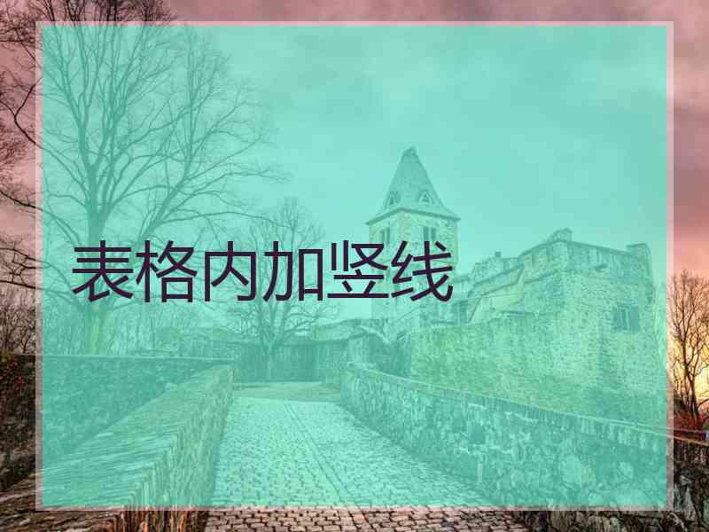 表格内加竖线