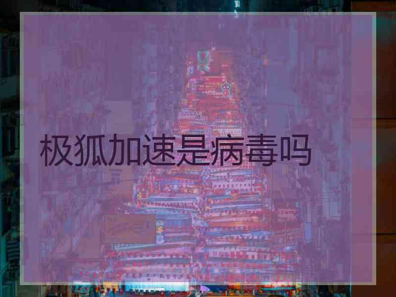 极狐加速是病毒吗