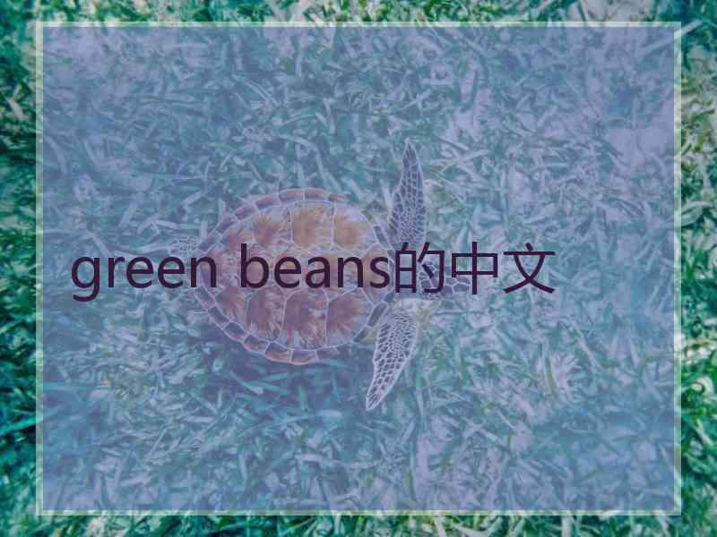 green beans的中文