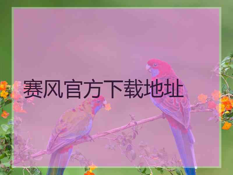 赛风官方下载地址
