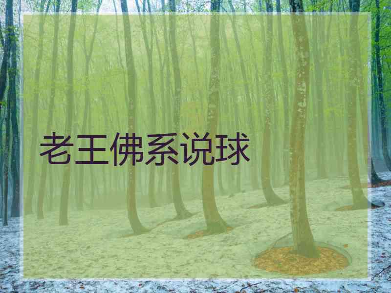 老王佛系说球
