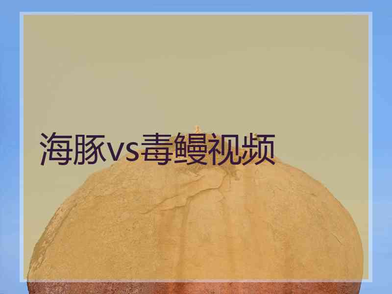 海豚vs毒鳗视频