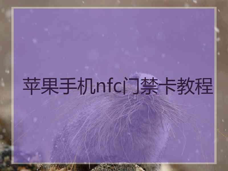 苹果手机nfc门禁卡教程