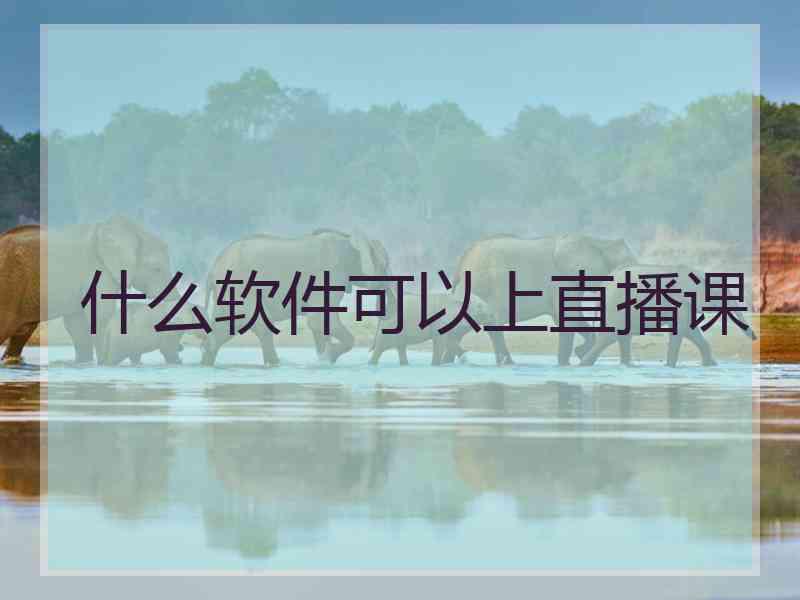 什么软件可以上直播课