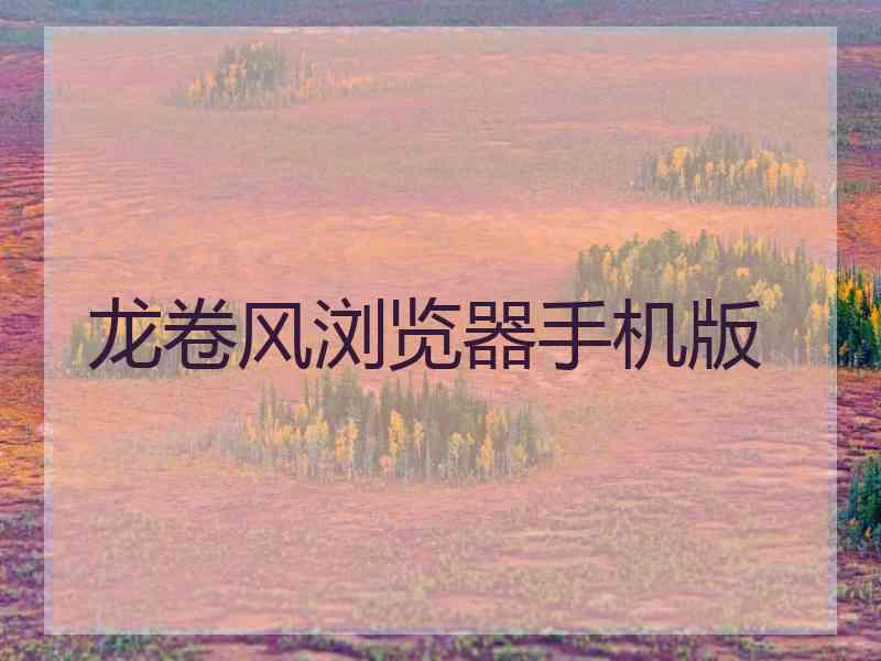 龙卷风浏览器手机版