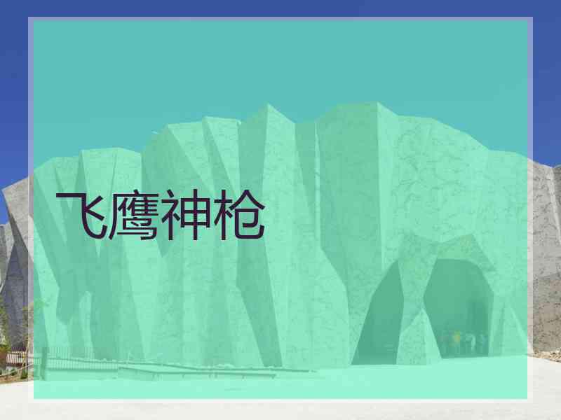 飞鹰神枪