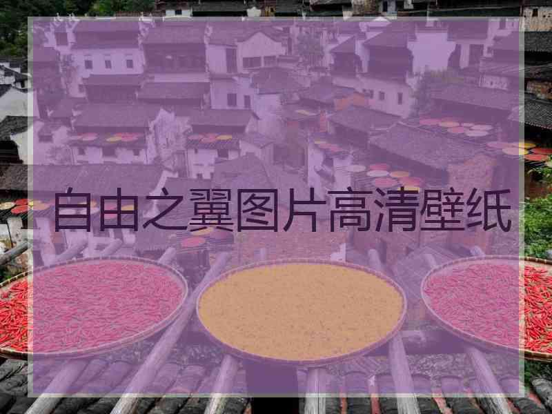 自由之翼图片高清壁纸