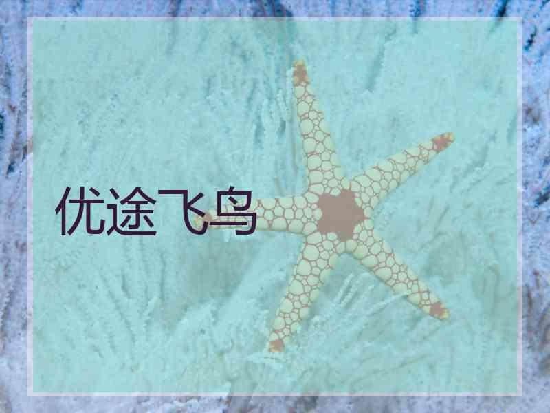 优途飞鸟