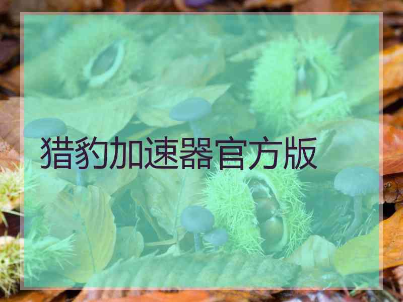 猎豹加速器官方版