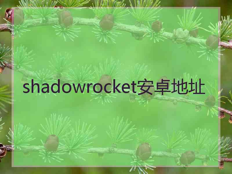 shadowrocket安卓地址