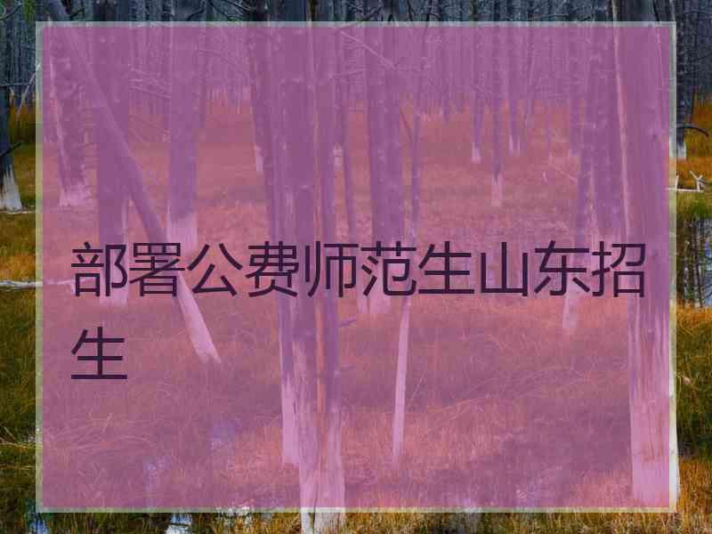 部署公费师范生山东招生
