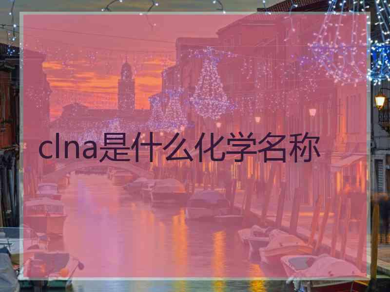 clna是什么化学名称