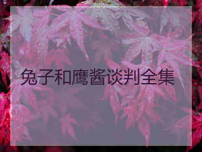 兔子和鹰酱谈判全集