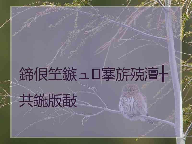 鍗佷笁鏃ュ搴旂殑澶╁共鍦版敮