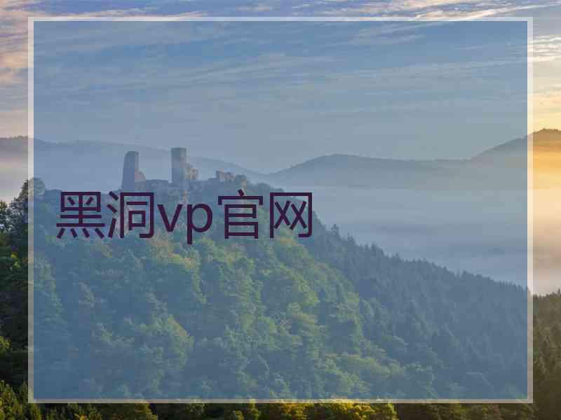 黑洞vp官网