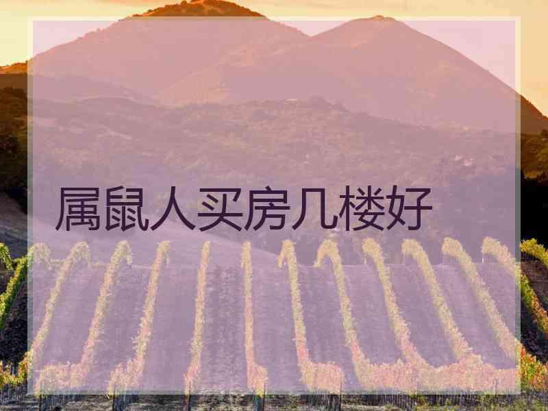 属鼠人买房几楼好