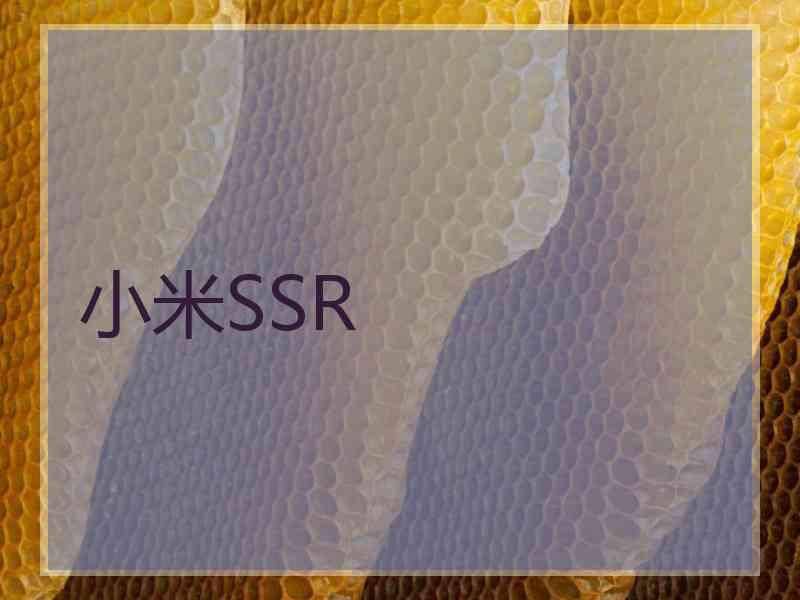 小米SSR