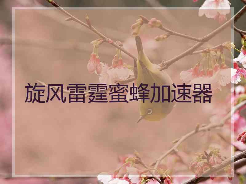 旋风雷霆蜜蜂加速器