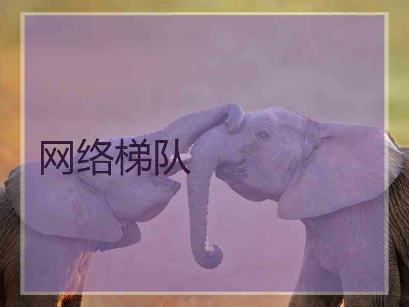 网络梯队
