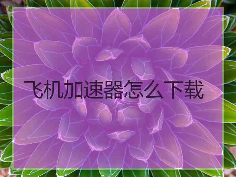 飞机加速器怎么下载