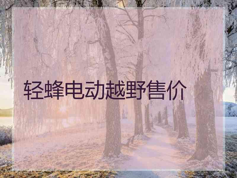 轻蜂电动越野售价