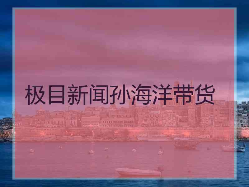 极目新闻孙海洋带货