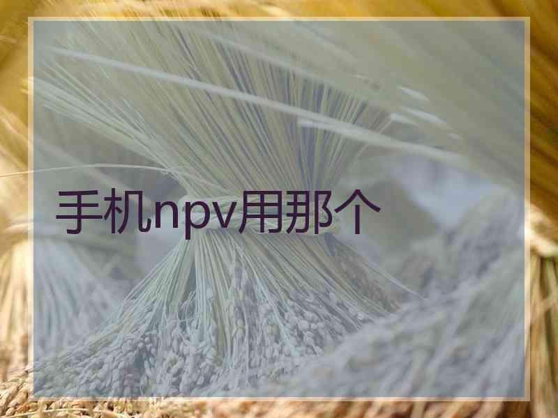 手机npv用那个