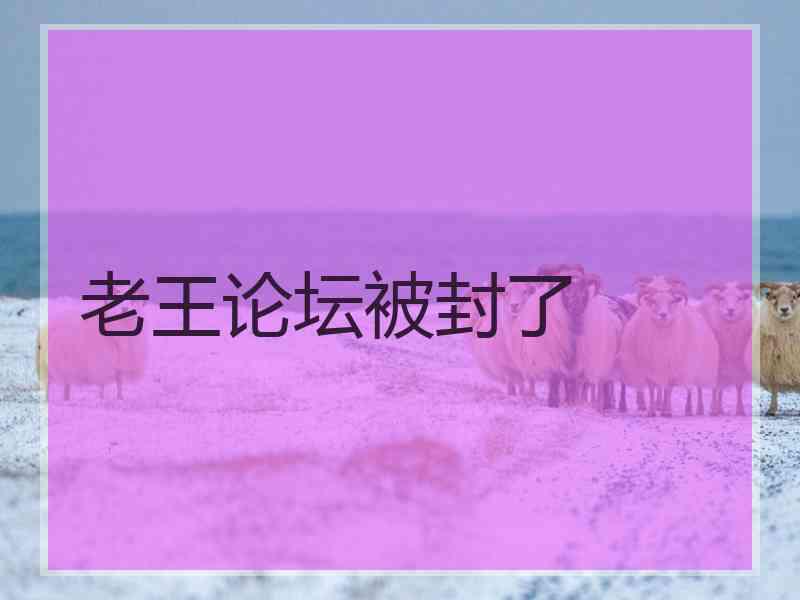 老王论坛被封了
