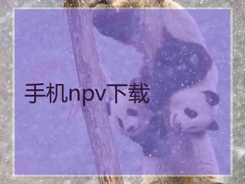 手机npv下载