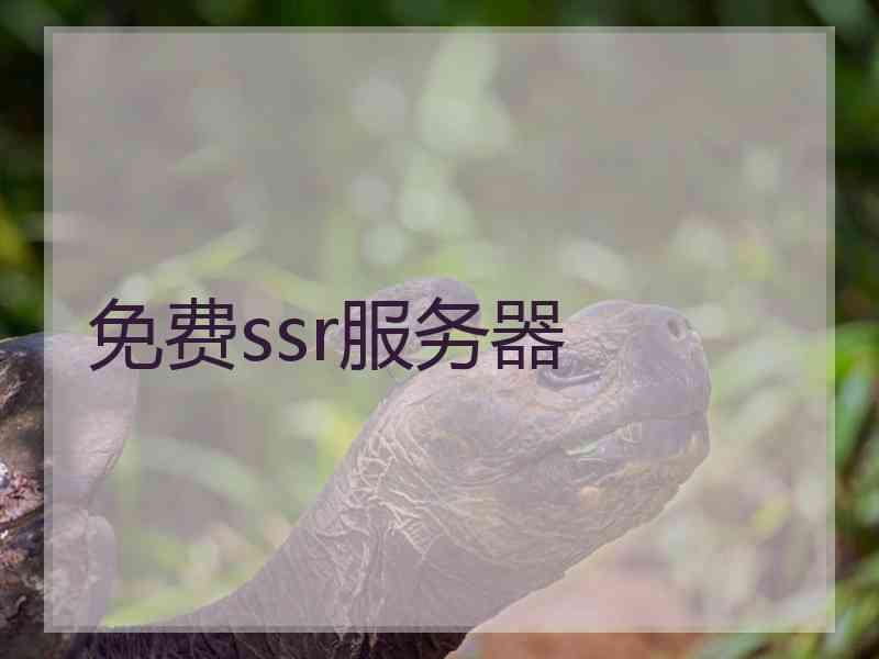 免费ssr服务器