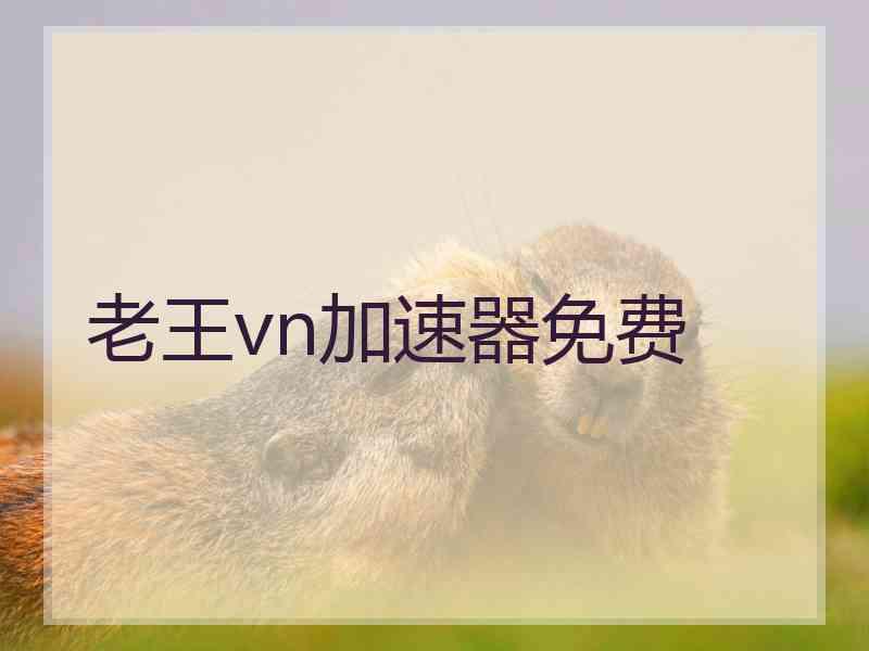 老王vn加速器免费