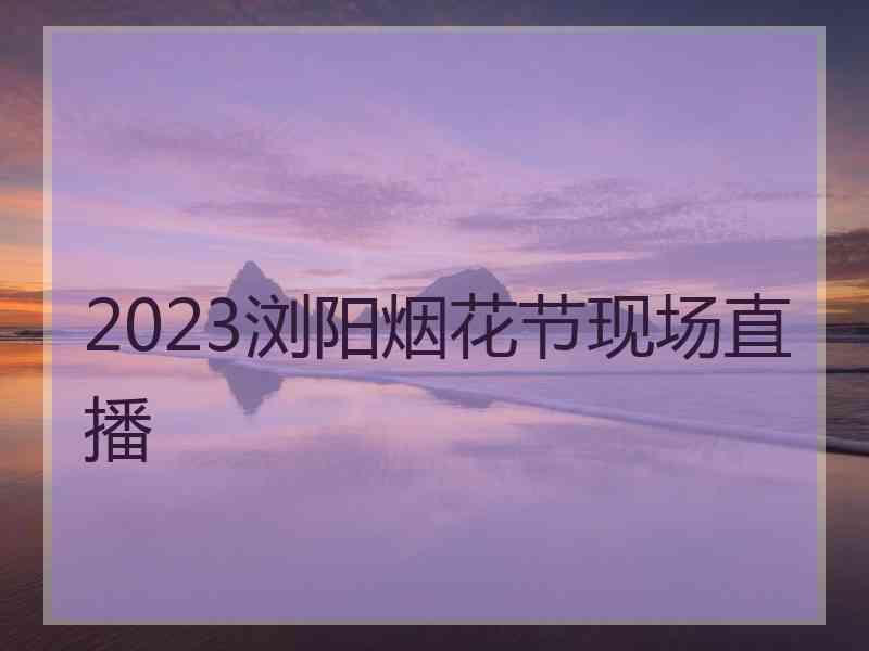 2023浏阳烟花节现场直播