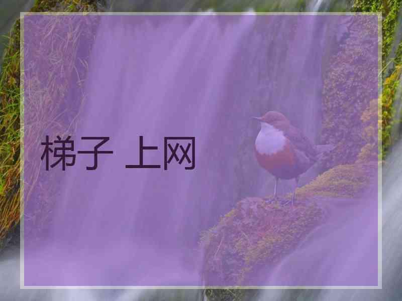 梯子 上网