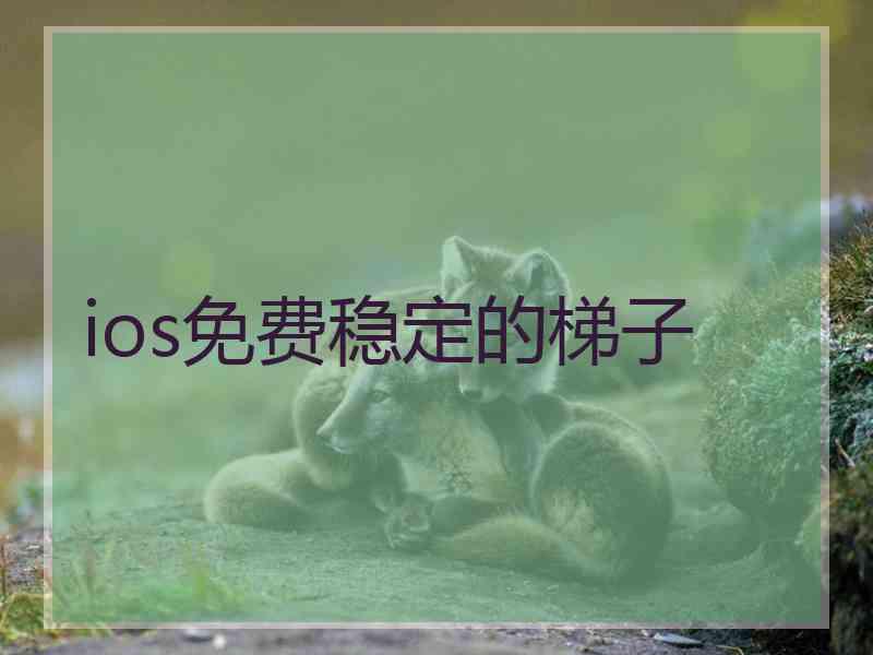 ios免费稳定的梯子