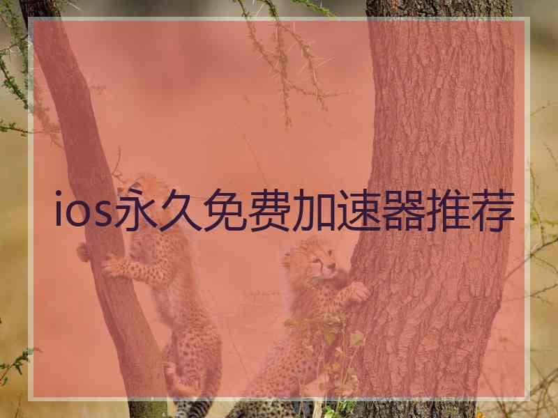 ios永久免费加速器推荐