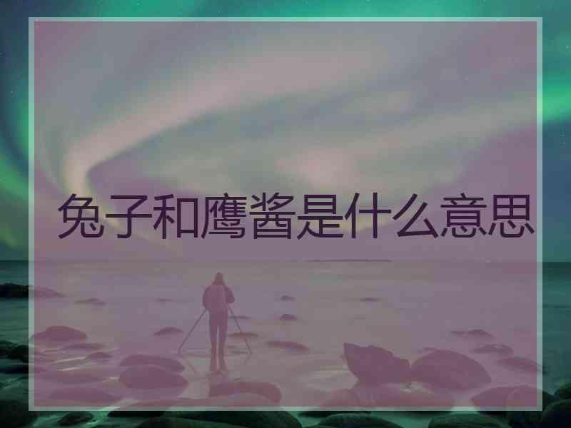 兔子和鹰酱是什么意思