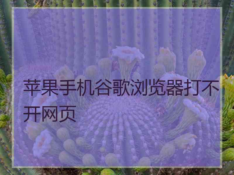 苹果手机谷歌浏览器打不开网页