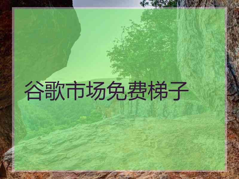 谷歌市场免费梯子