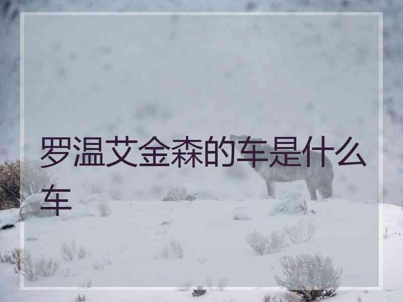 罗温艾金森的车是什么车