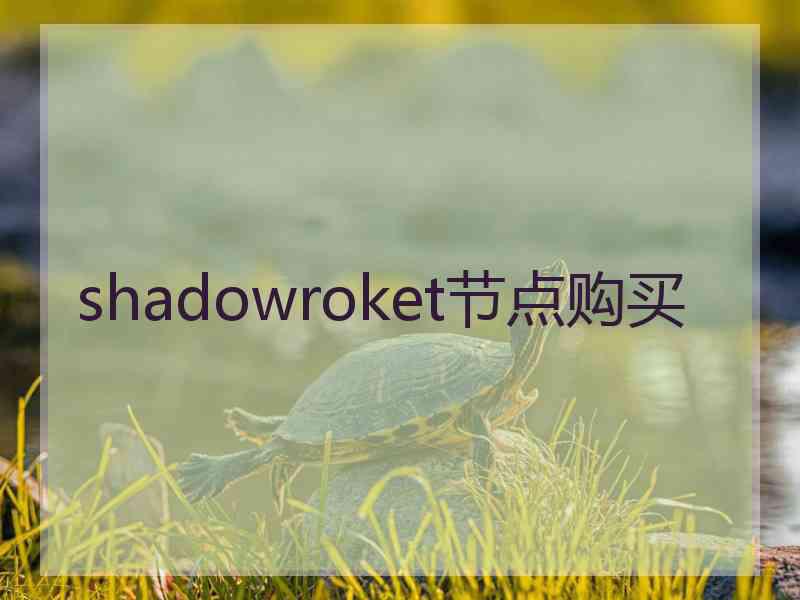 shadowroket节点购买