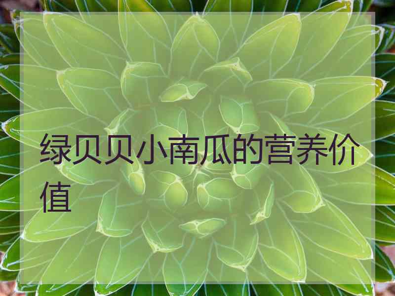 绿贝贝小南瓜的营养价值